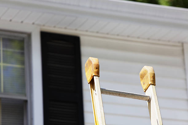 Best Hoarding Cleanup  in Lowell, IN