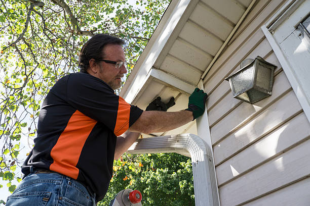 Trusted Lowell, IN Junk Removal Experts